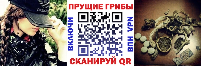 Галлюциногенные грибы мицелий  Майский 